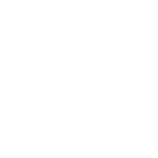 SHAWN SUN